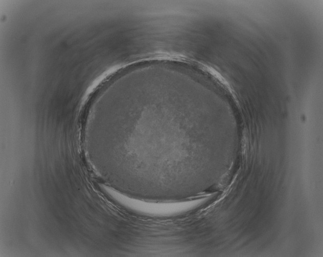 X0000082691310200702091647