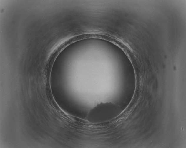 X0000082691311200702091647