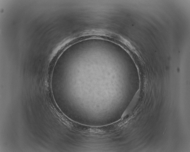 X0000082691312200702091647