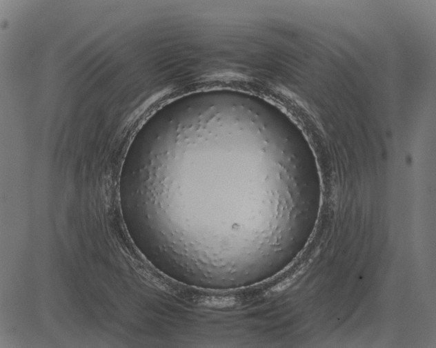 X0000082691313200702091647