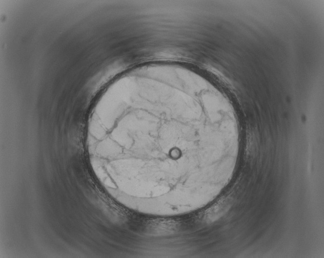 X0000082691314200702091647