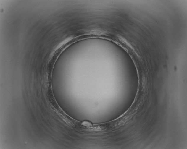 X0000082691315200702091647