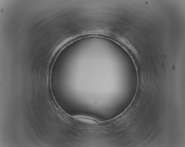 X0000082691316200702091647