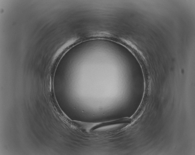 X0000082691317200702091647