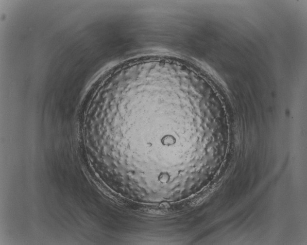 X0000082691318200702091647