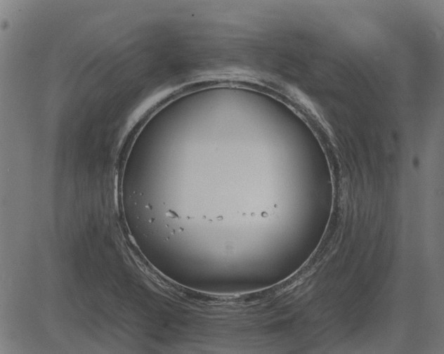 X0000082691320200702091647