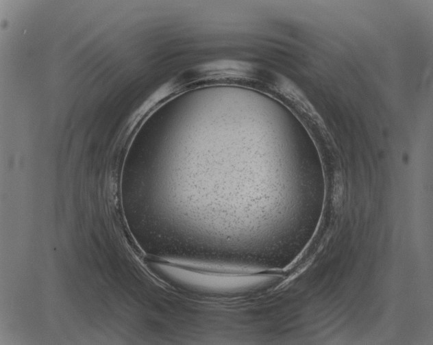 X0000082691321200702091647