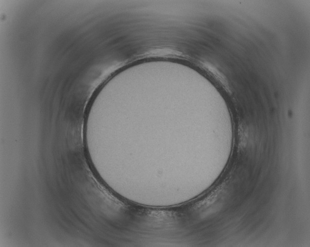 X0000082691322200702091647