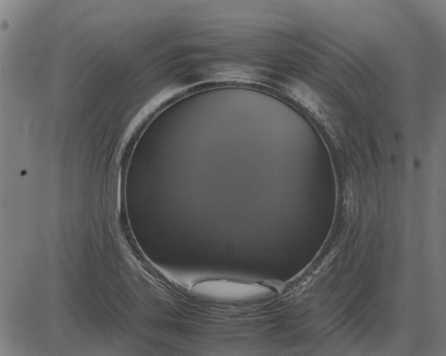 X0000082691323200702091647