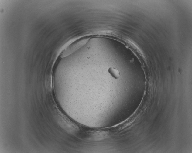 X0000082691324200702091647