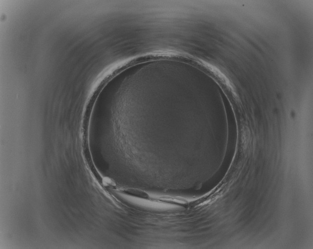 X0000082691327200702091647