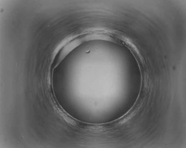 X0000082691328200702091647