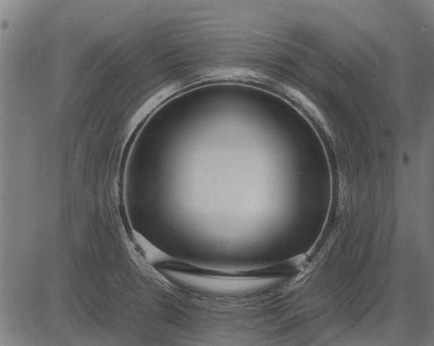 X0000082691330200702091647