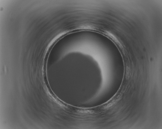 X0000082691331200702091647