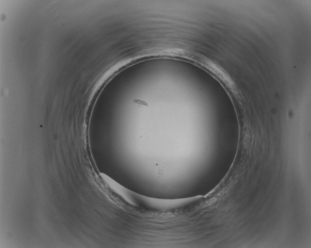 X0000082691332200702091648