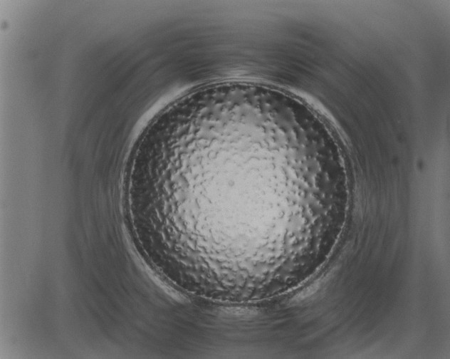 X0000082691333200702091648