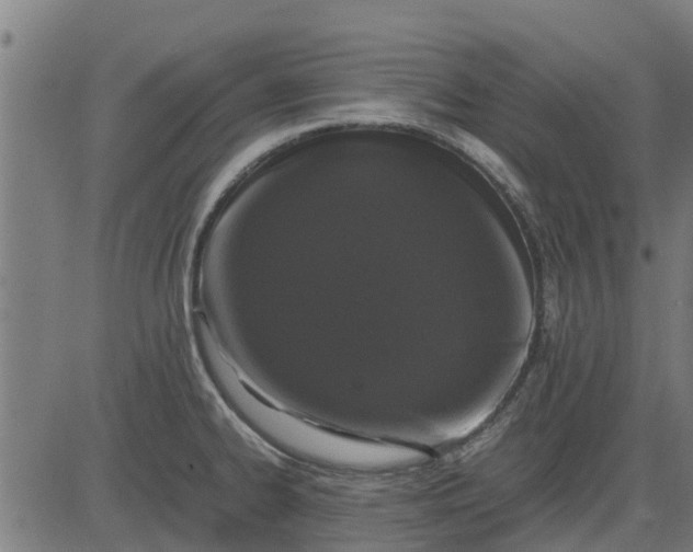 X0000082691334200702091648