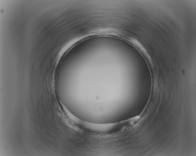 X0000082691336200702091648