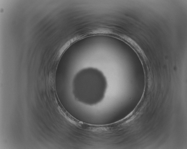 X0000082691337200702091648