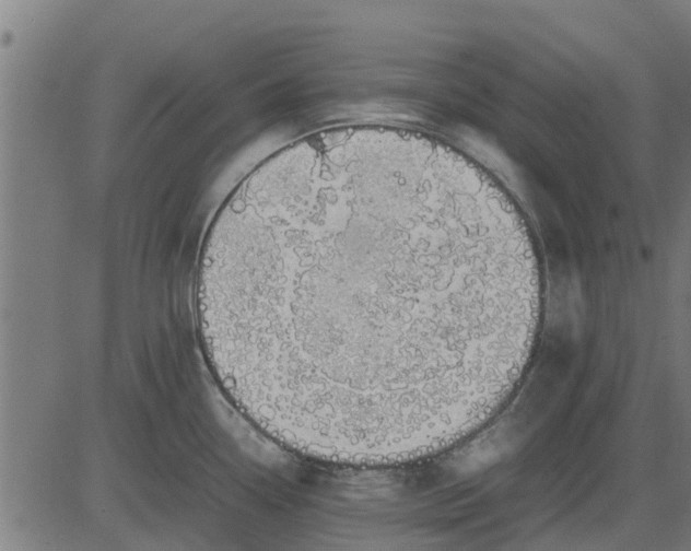 X0000082691338200702091648