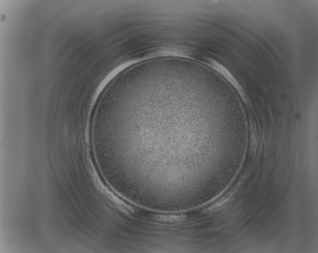 X0000082691339200702091648