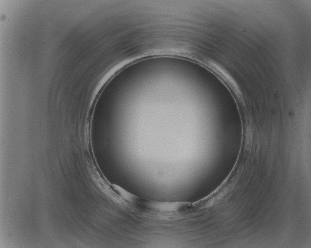 X0000082691340200702091648