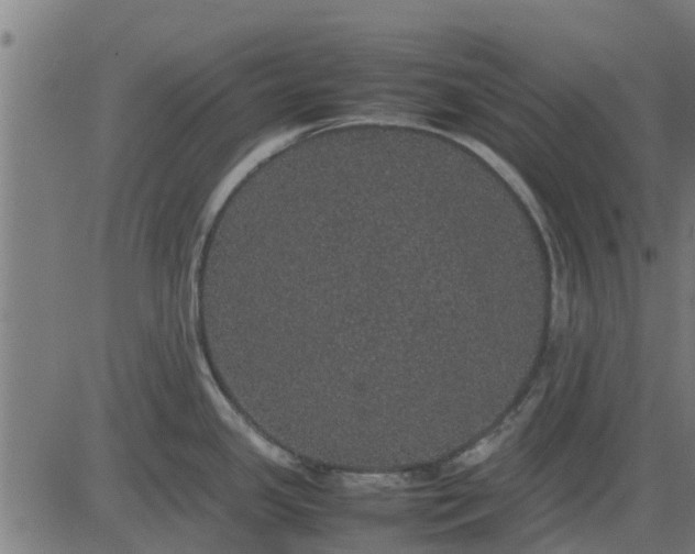 X0000082691341200702091648