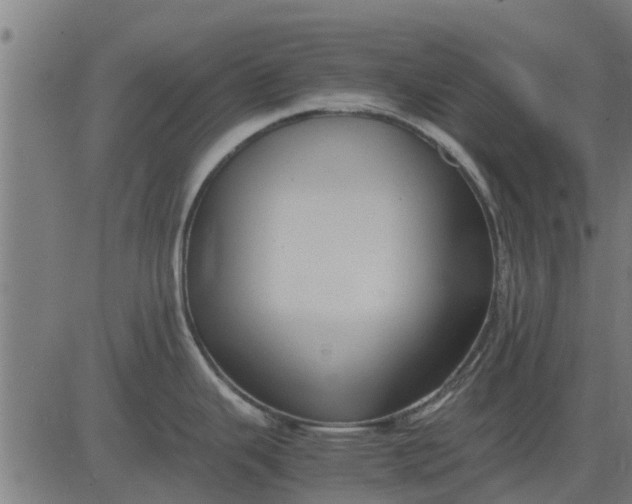 X0000082691343200702091648