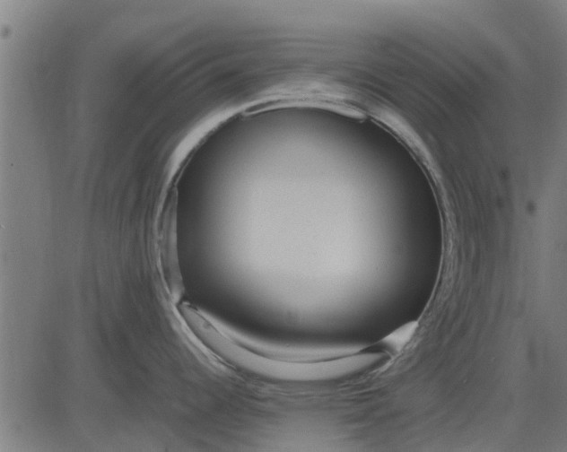 X0000082691344200702091648