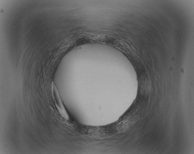 X0000082691345200702091647