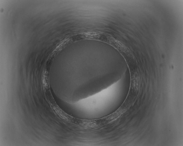 X0000082691346200702091647