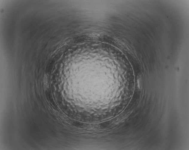 X0000082691347200702091647