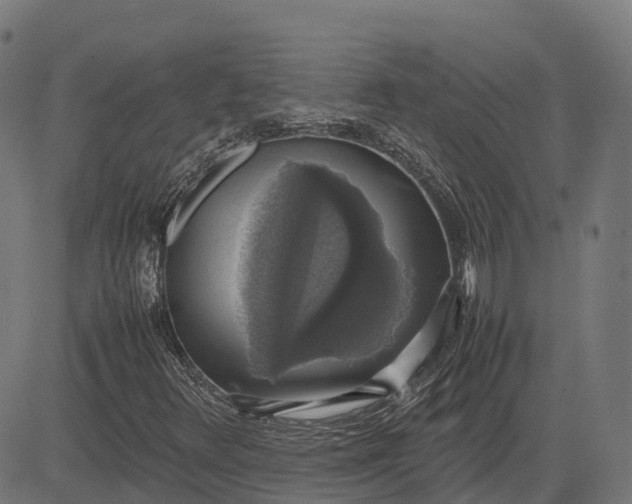 X0000082691348200702091647