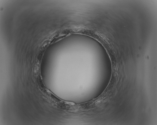 X0000082691349200702091647