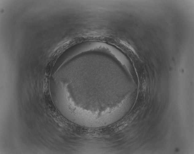 X0000082691350200702091647