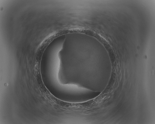 X0000082691351200702091647