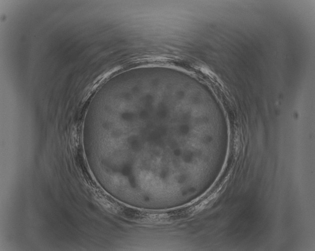 X0000082691353200702091647