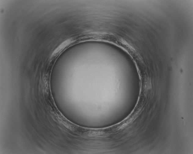 X0000082691354200702091647