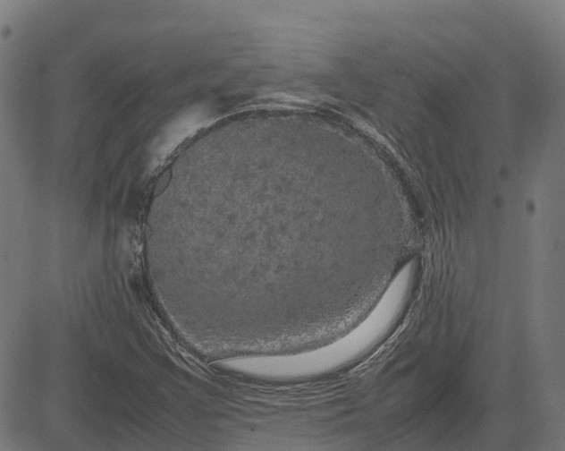 X0000082691355200702091647