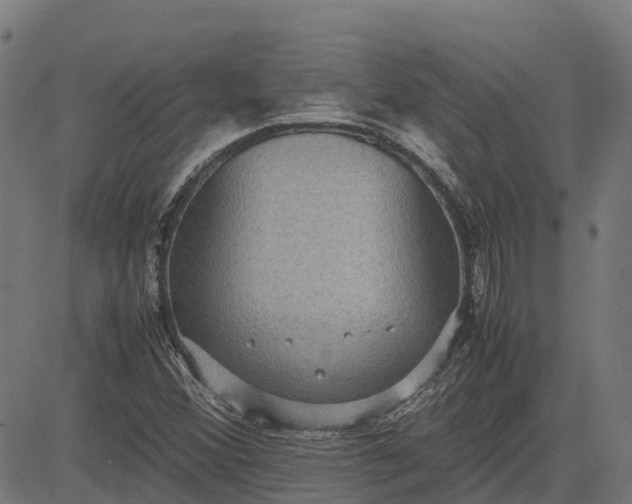 X0000082691356200702091647