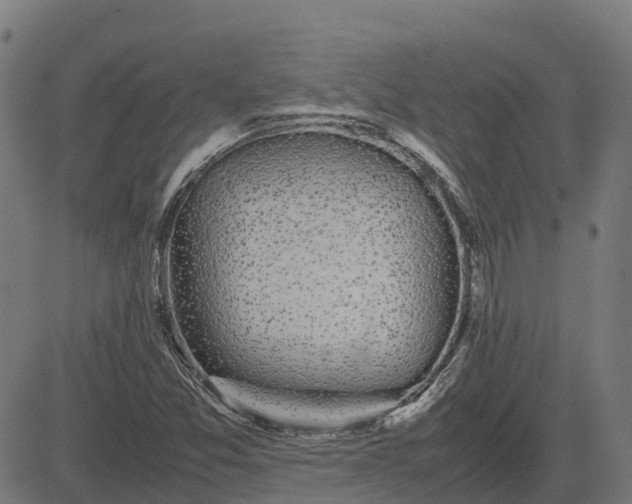 X0000082691357200702091647