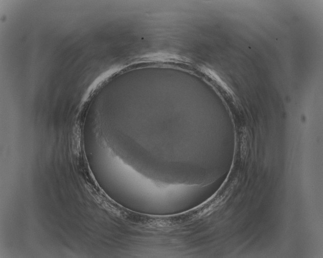 X0000082691358200702091647