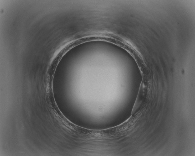 X0000082691360200702091647