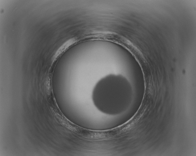 X0000082691362200702091647