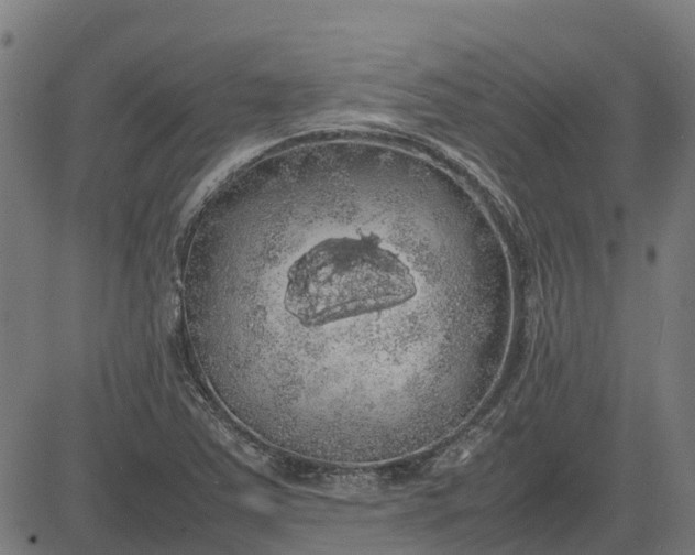 X0000082691363200702091647