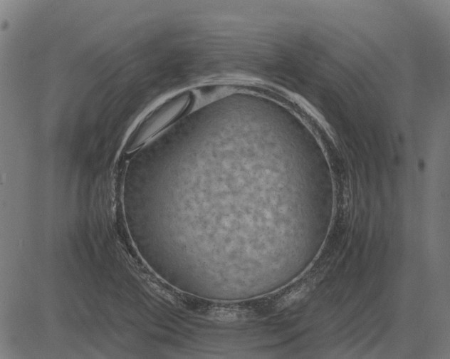 X0000082691364200702091647