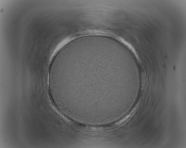 X0000082691365200702091647