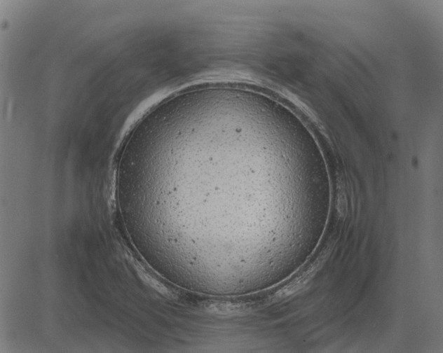 X0000082691366200702091647