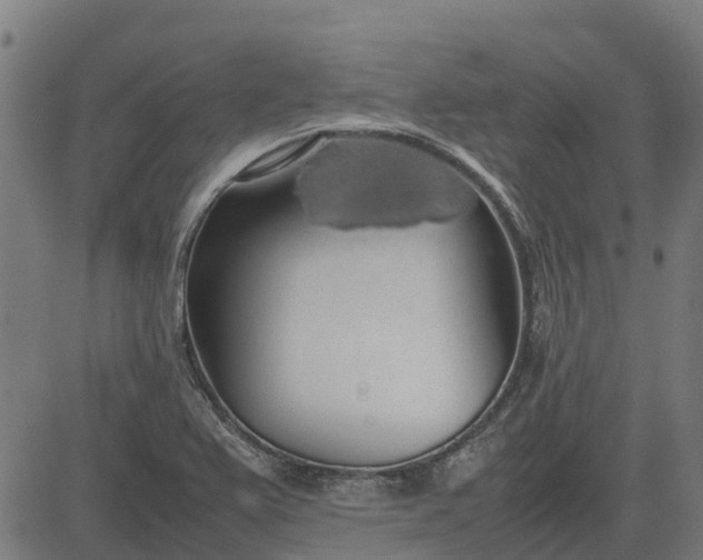 X0000082691367200702091647