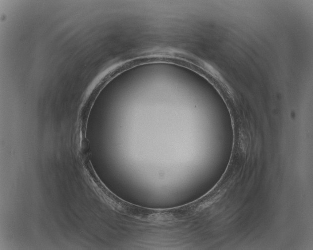 X0000082691368200702091647